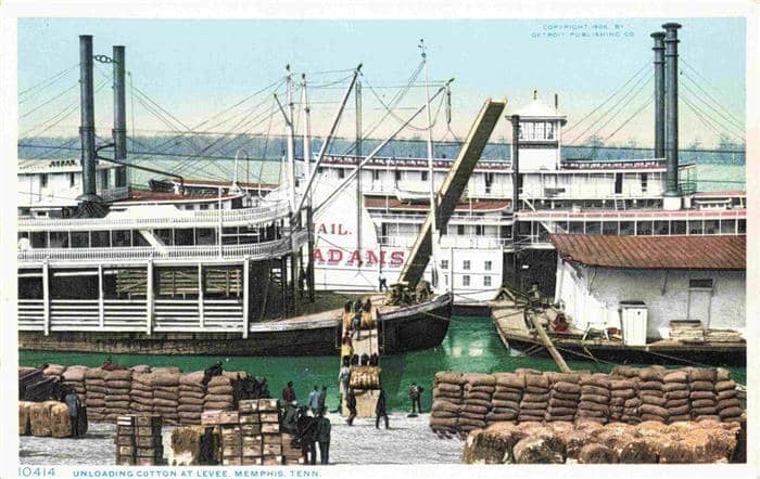Memphis Tennessee Unloading Cotton at Levee – Ansichtskarte Memphis