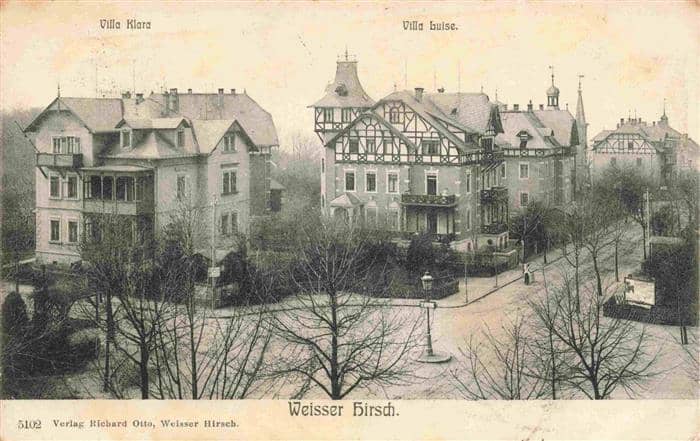 Weisser Hirsch Bad Dresden Villa Klara Villa Luise – Ansichtskarte Dresden Elbe