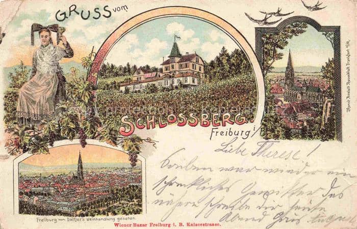 FREIBURG Breisgau BW Schlossberg Muenster Blick vom Dattler – Ansichtskarte Freiburg im Breisgau
