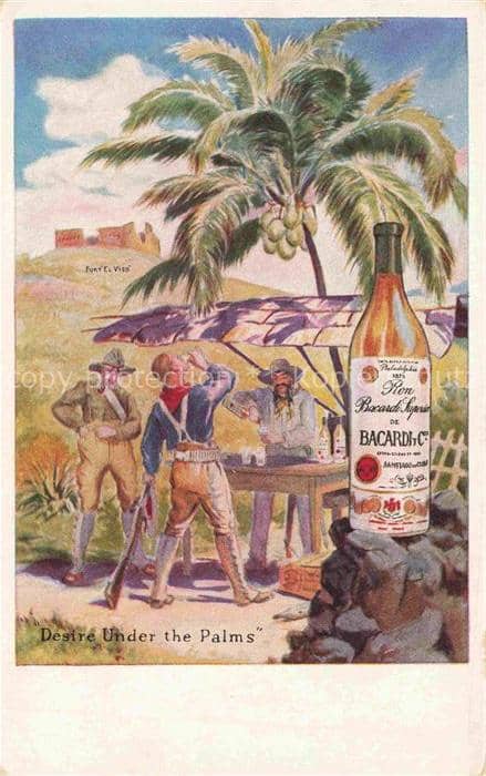 Getraenke Bacardi Desire Under the Palms – Ansichtskarte