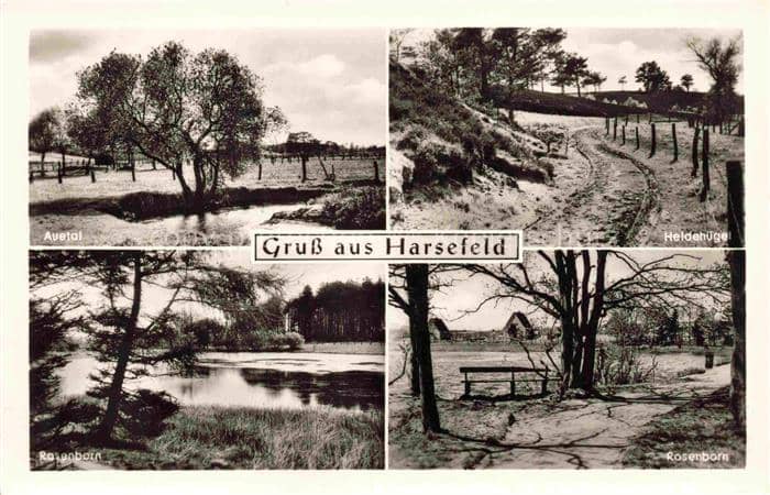 Harsefeld Stade Niedersachsen Panorama Auetal Heldenhuegel Rosenborn – Ansichtskarte Harsefeld