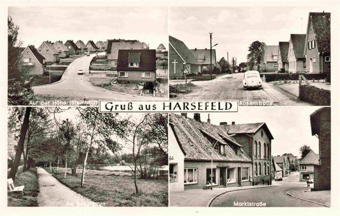 Harsefeld Stade Niedersachsen Auf der Hoehe Steinfeld Rosenstrasse Marktstrasse – Ansichtskarte Harsefeld