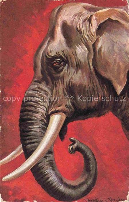 Elefant Dresden Serie 236 – Ansichtskarte