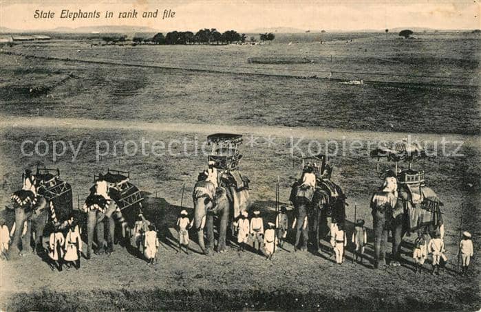Elefant State Elephants India – Ansichtskarte