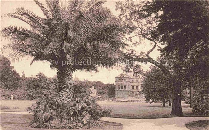 DRESDEN Elbe Grosser-Garten Palais Palmenbaum Park Wiese Skulptur Baeume – Ansichtskarte Dresden Elbe