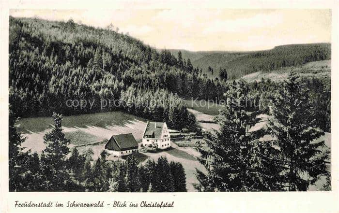 FREUDENSTADT BW Schwarzwald Christofstal Tal Wald Bauernhof Wiesen Nadelwald – Ansichtskarte Freudenstadt