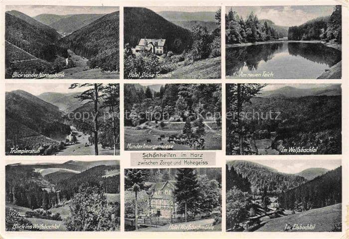 Zorge Harz Wolfsbachtal Hotel-Dicke-Tannen Hotel-Wolfsbachmuehle Hundertmorgenwi – Ansichtskarte Zorge