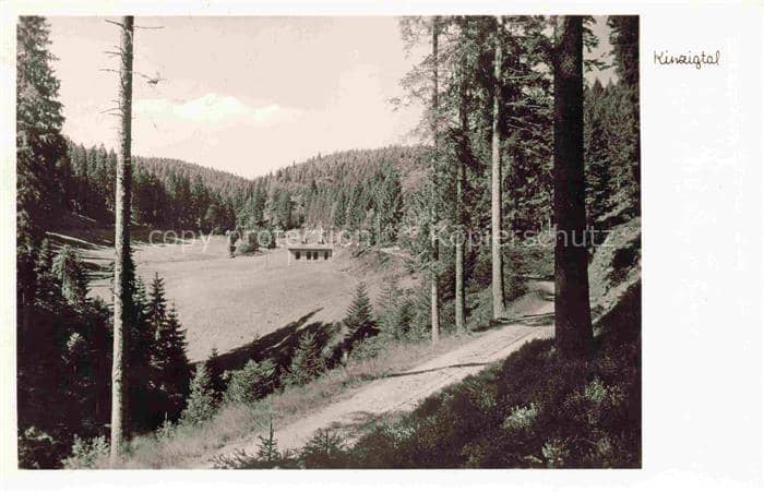 Zwieselberg Freudenstadt BW Kinzigtal Schwarzwald Nadelwald Gasthaus-Auerhahn Fr – Ansichtskarte Freudenstadt