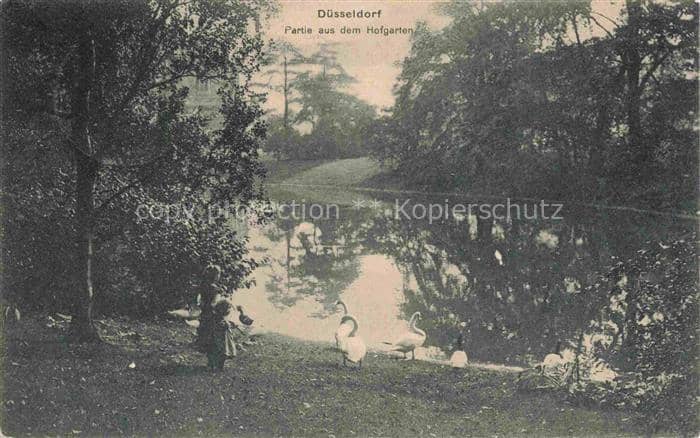 DuessELDORF  CITY Hofgarten Teich Schwaene Park Kind Baeume Spiegelung – Ansichtskarte Düsseldorf