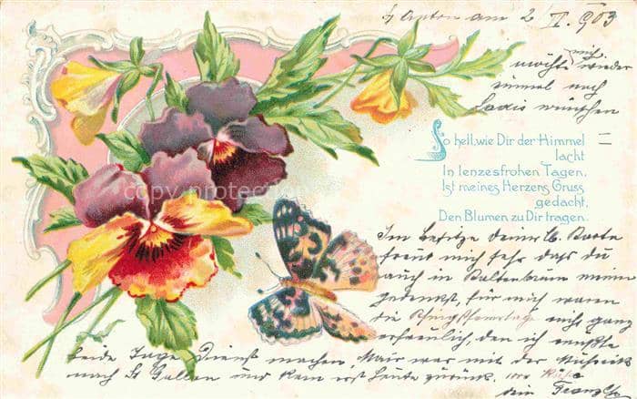 Schmetterlings-AK Blumen – Ansichtskarte
