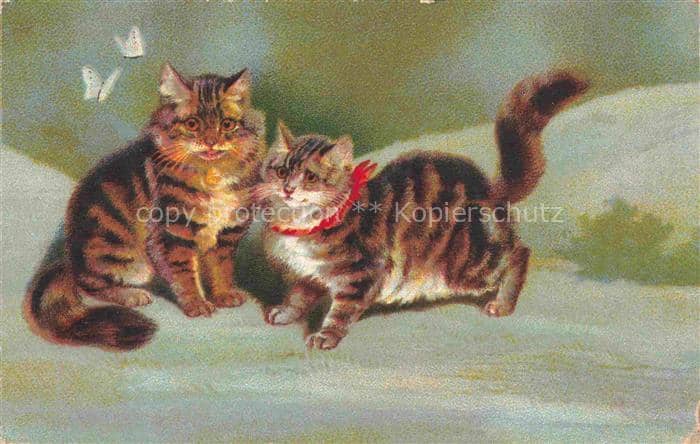 KATZEN Cats Chats Gatos Gatti-- Wenau Delila Schmetterling Litho – Ansichtskarte