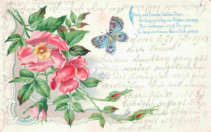 Schmetterlings-AK Blumen – Ansichtskarte