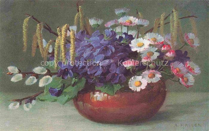 HALLER A. Kuenstlerkarte Blumen Vase – Ansichtskarte