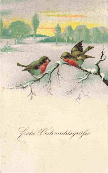 Weihnachten Christmas X-Mas Noel Voegel Oiseaux – Ansichtskarte