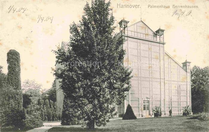 Badenstedt HANNOVER Palmenhaus Herrenhausen Gewaechshaus Glashaus Park Baum Schl – Ansichtskarte Hannover