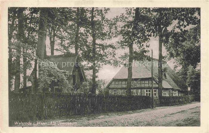 Walsrode Lueneburger Heide Heidemuseum Fachwerk Reetdach Baeume Zaun Sandweg Hei – Ansichtskarte Walsrode