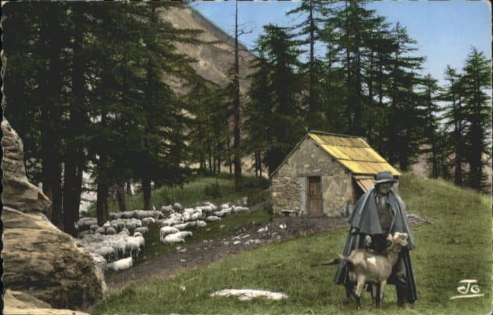 Schaeferei Landwirtschaft Schäfer Schäferhütte Cabane de Berger S – Ansichtskarte