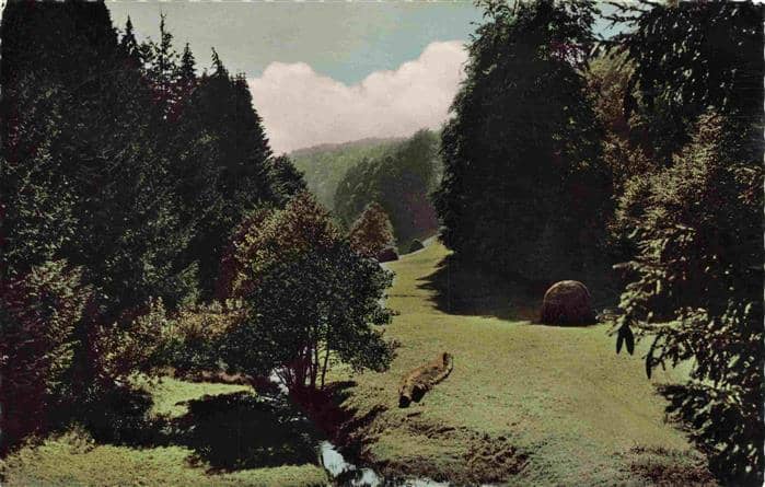 Eschsiefen Hollerath Hellenthal Euskirchen NRW Landschaftspanorama – Ansichtskarte Hellenthal