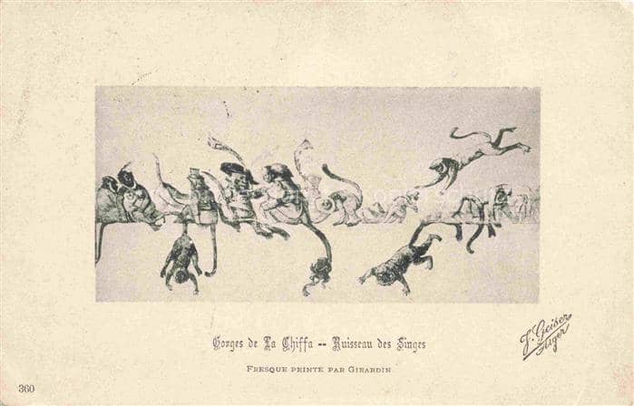 Affen Monkeys Singes Monos Scimmie-- Gonges de la Chiffa Ruisseau des Singes – Ansichtskarte