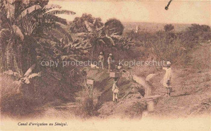Senegal Canal d'irrigation – Ansichtskarte
