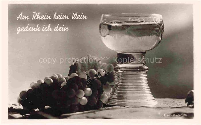 Wein Wine Vin Vino-- Trauben – Ansichtskarte