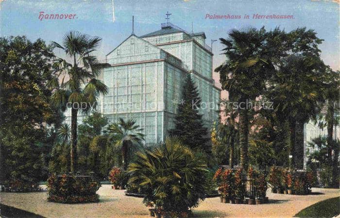 HANNOVER  CITY Palmenhaus in Herrenhausen – Ansichtskarte Hannover