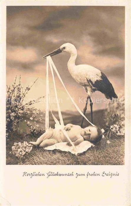 Foto Amag Nr. 67720/2 Stroch Cigogne Baby Vogel – Ansichtskarte