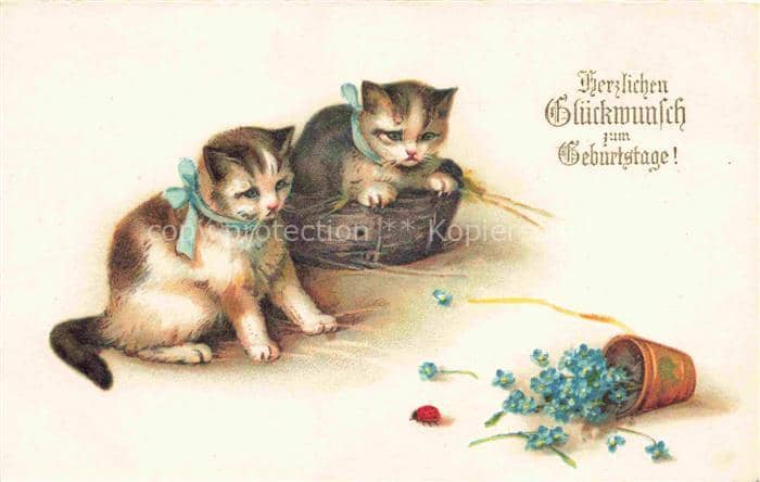 Foto Amag Nr. 2554 Geburtstag Marienkäfer Katzen – Ansichtskarte