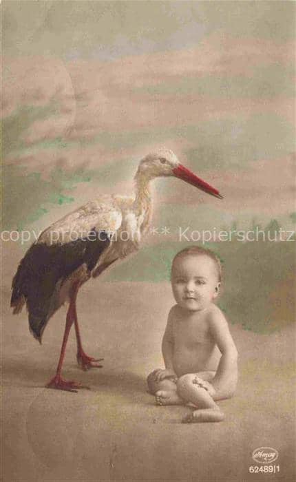 Foto Amag Nr. 62489/1 Storch Cigogne Baby – Ansichtskarte