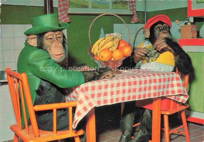 Affen Monkeys Singes Monos Scimmie-- Obst Hut – Ansichtskarte