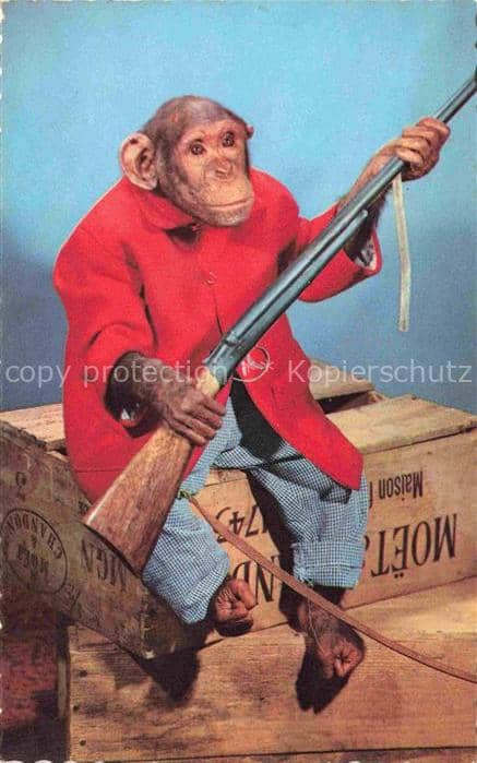 Affen Monkeys Singes Monos Scimmie-- Gewehr – Ansichtskarte
