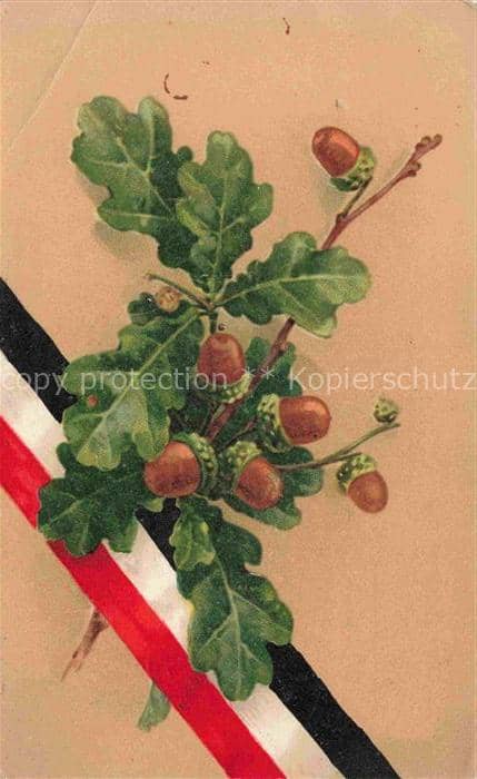 SWR Schwarz Weiss Rot-Flagge Litho Muenchen Lebensmittel fuer Truppenverpflegung – Ansichtskarte