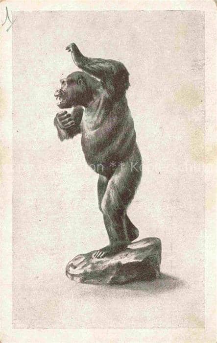 Affen Monkeys Singes Monos Scimmie-- Le Gorille Congo francais – Ansichtskarte