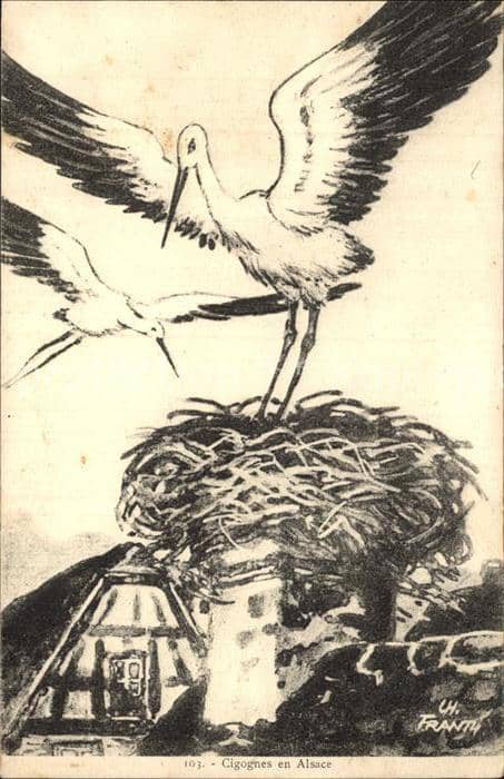 Storch Cigognes en Alsace Künstlerkarte – Ansichtskarte