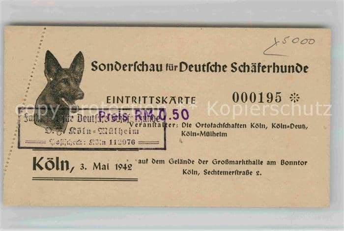Schaeferhunde Sonderschau Köln Eintrittskarte – Ansichtskarte
