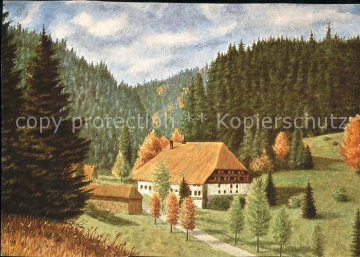 Verlag Wiechmann Nr. 3401 Josef M. Rischar Schwarzwaldlandsc – Ansichtskarte