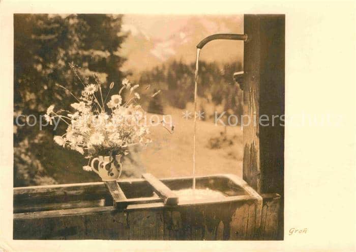 Fotograf Fotokunst Fotokunst Groh Nr. 2225 Brunnen Blumen – Ansichtskarte