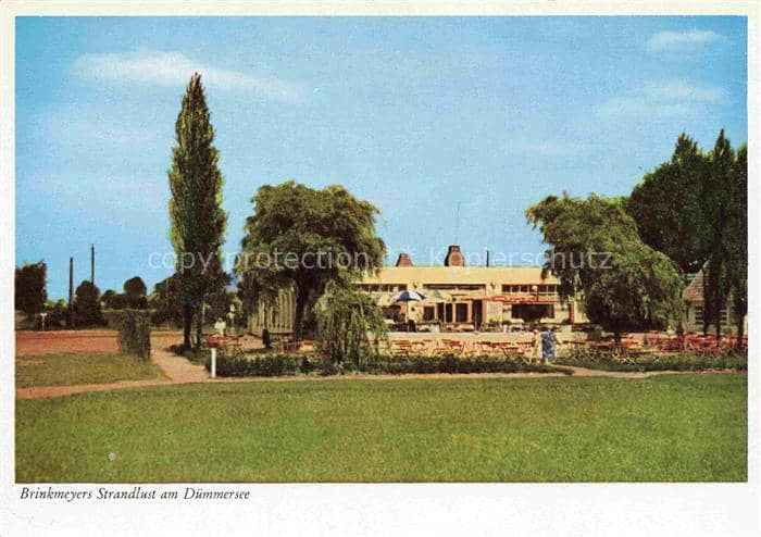 Lembruch Duemmersee Niedersachsen Strandlust Duemmersee Seerestaurant Pappeln We – Ansichtskarte Lembruch