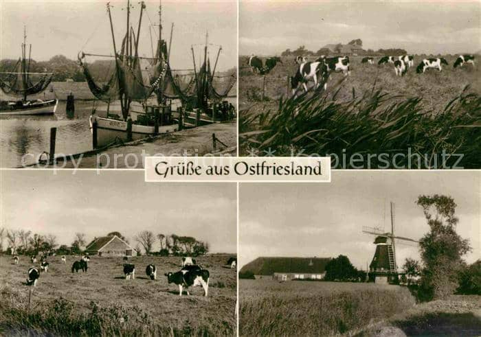 Ostfriesland Fischerboote Kühe Windmühle – Ansichtskarte