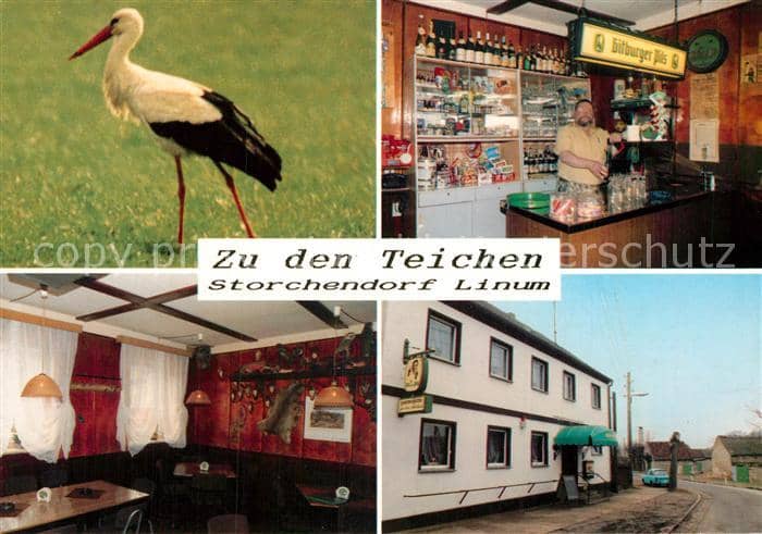 Storch Linum Gaststaette zu den Teichen – Ansichtskarte