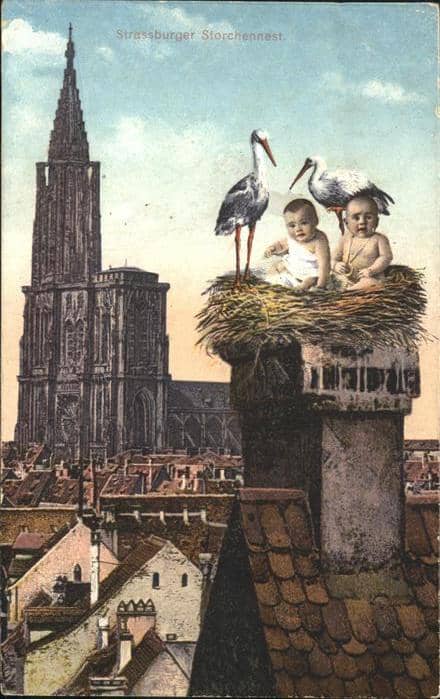 Storch Nest Strassburg Kinder – Ansichtskarte