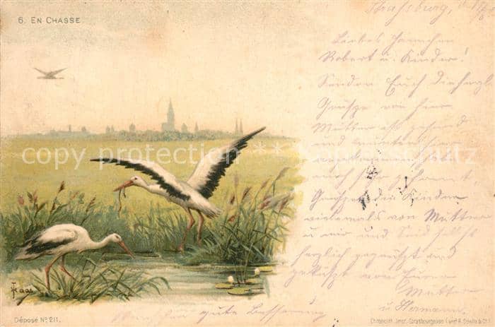 Storch Litho En Chasse – Ansichtskarte