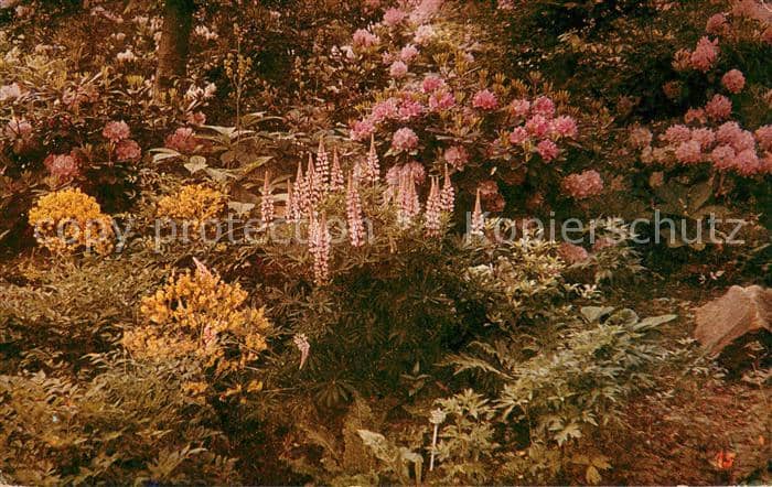 Besonderheiten Ruhrlaendische Gartenbau-Austtellung Essen 1929 – Ansichtskarte