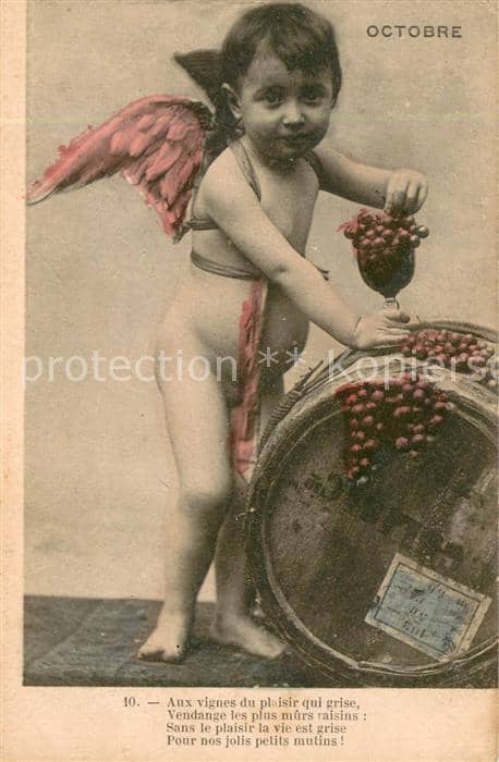 Wein Wine Vin Vino-- Engel October – Ansichtskarte