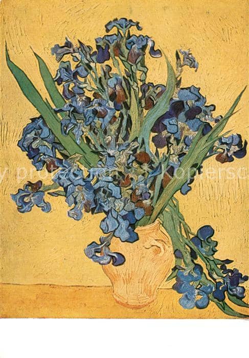 Van Gogh Vincent 6218 – Ansichtskarte