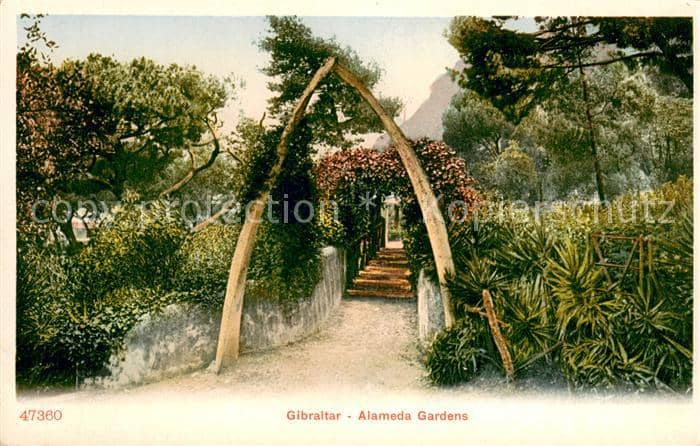 Gibraltar Alameda Gardens – Ansichtskarte