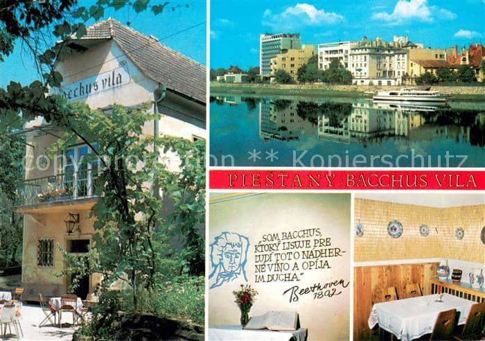 Piestany Bacchus Vila Details – Ansichtskarte