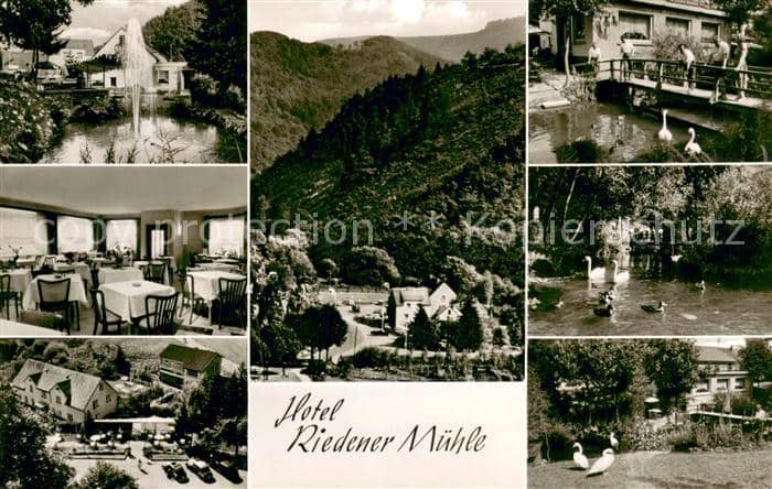 Mayen Eifel Rheinland-Pfalz Hotel Riedener Muehle Gastraeume Schwanenteich Panor – Ansichtskarte Mayen