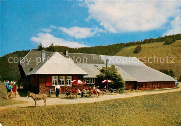 Untermuenstertal Muenstertal BW Almgaststaette Kaelbelescheuer – Ansichtskarte Münstertal