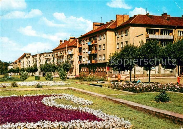 Brzeg Brieg Schlesien Ulica Wajska Polskiego – بطاقة مصوّرة